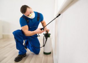 Loc8 Insights Taking a Digital Step Forward For Your Pest Control Business