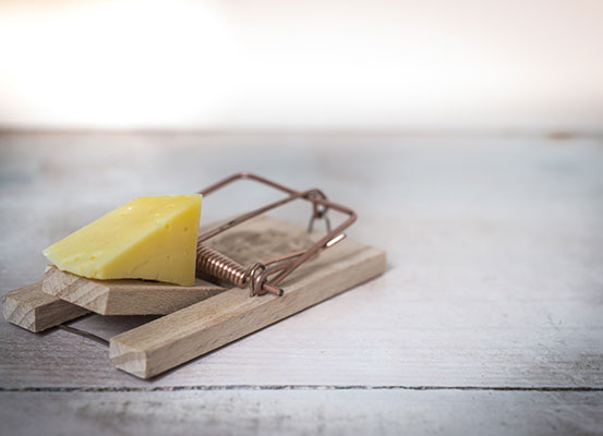 Loc8 Insights Five tips to ensure your pest control inspections-are thoroughly conducted